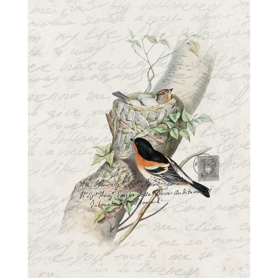 Nesting 3 Poster Print by Ann Bailey-VARPDXBARC065C Image 1