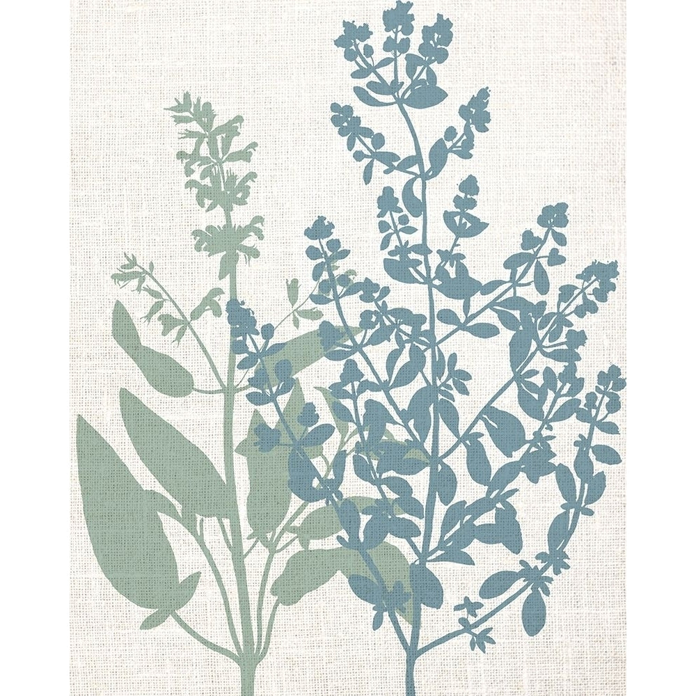 Linen Herbs 2 by Ann Bailey-VARPDXBARC089B Image 1