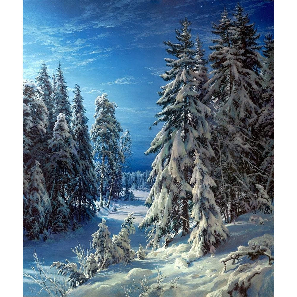 Winter night Poster Print by Sergej Basov-VARPDXBC20 Image 1