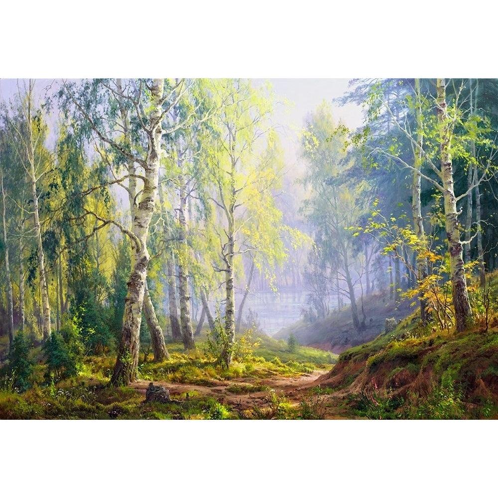 Morning at the birch forest Poster Print by Sergej Basov-VARPDXBC21 Image 1