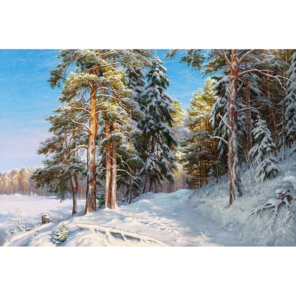 Frost Poster Print by Sergej Basov-VARPDXBC3 Image 1