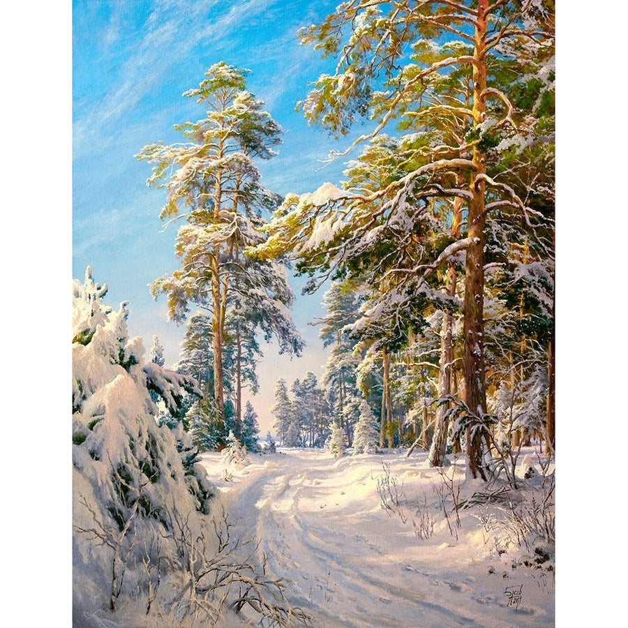 Pine forest winter Poster Print by Sergej Basov-VARPDXBC44 Image 1