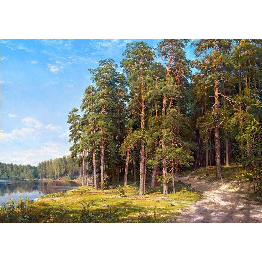 Coastal pines Poster Print by Sergej Basov-VARPDXBC9 Image 1