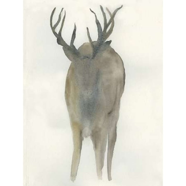 Solo Deer Poster Print by Beverly Dyer-VARPDXBDRC121B Image 1