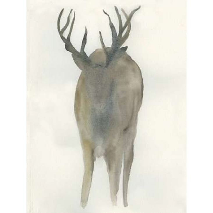 Solo Deer Poster Print by Beverly Dyer-VARPDXBDRC121B Image 2