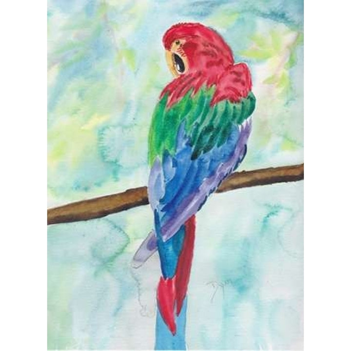 Tropical Perch I Poster Print by Beverly Dyer-VARPDXBDRC138A Image 1