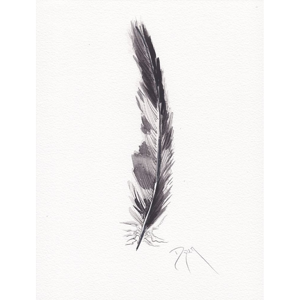 Feathers Black and White Poster Print by Beverly Dyer-VARPDXBDRC204 Image 1