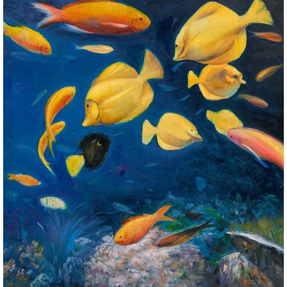 FISH UNDER THE SEA Poster Print by Atelier B Art Studio-VARPDXBEGANI170 Image 1