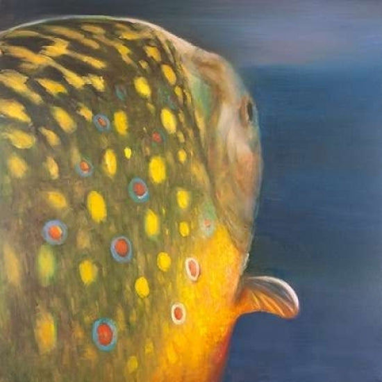 Golden Trout Fish Poster Print by Atelier B Art Studio-VARPDXBEGANI173 Image 2