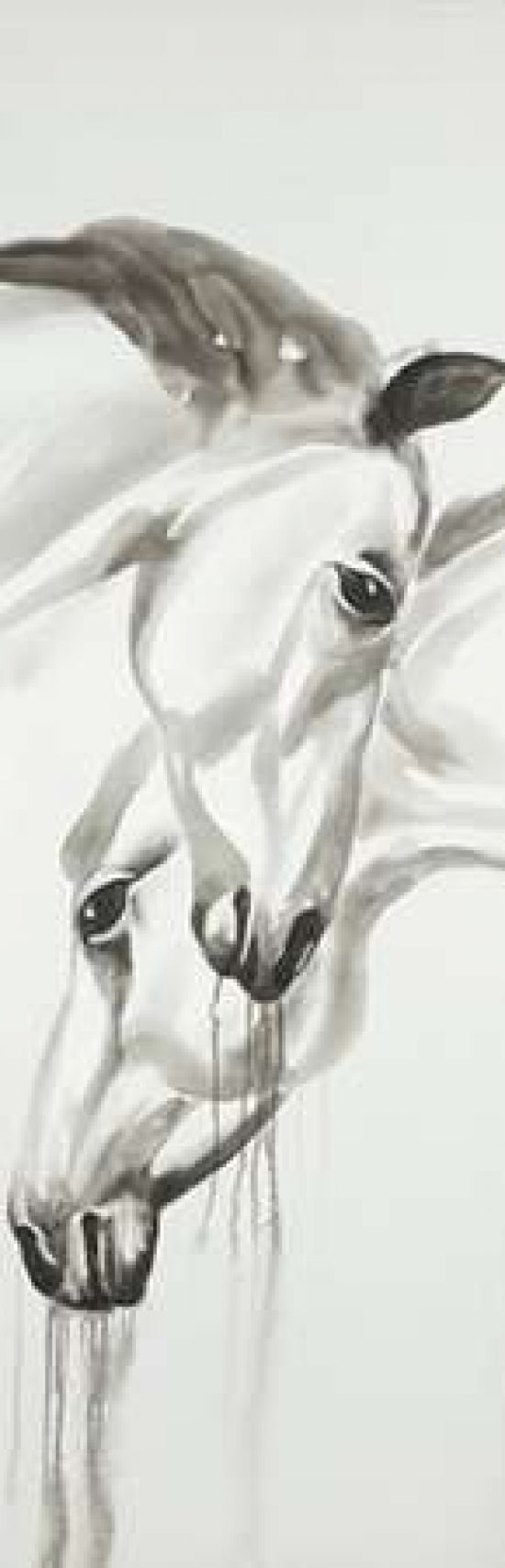 Black and White Horses Poster Print by Atelier B Art Studio-VARPDXBEGANI182 Image 1