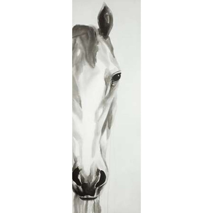 Black and White Horse Face Poster Print by Atelier B Art Studio-VARPDXBEGANI181 Image 2