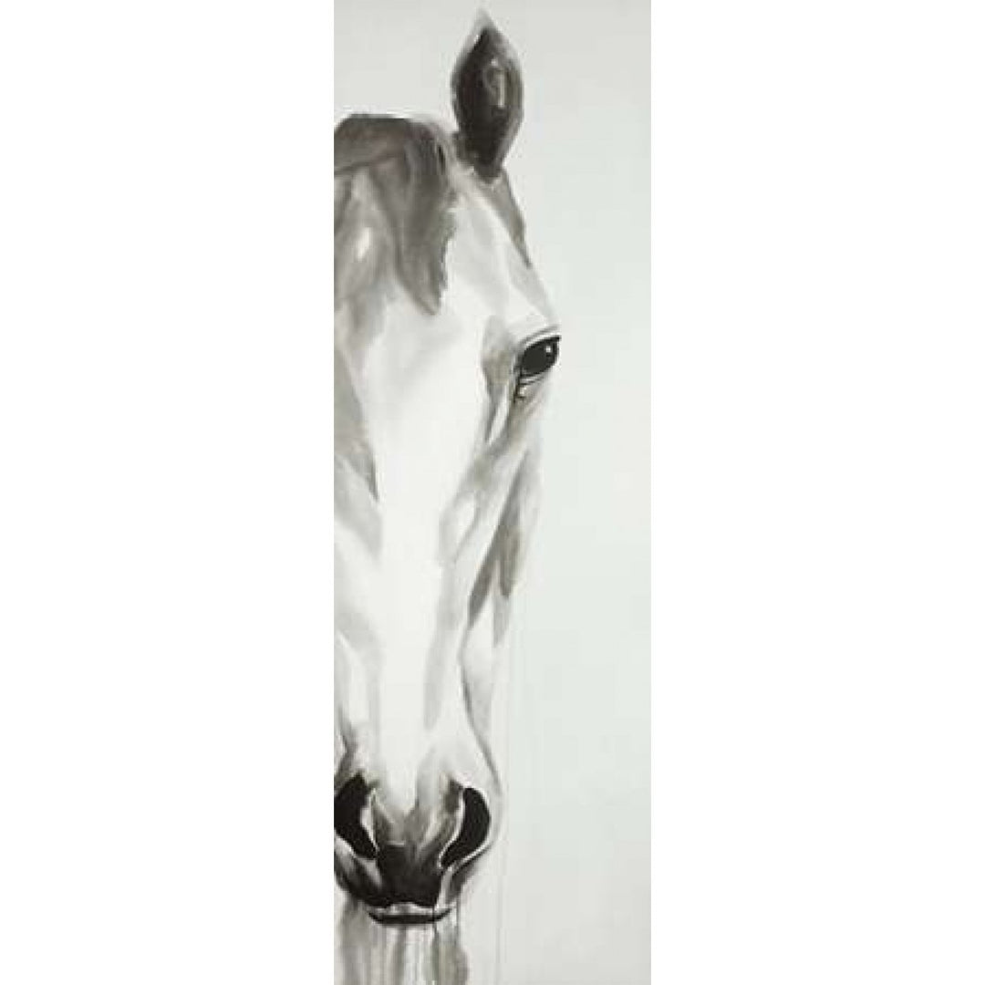 Black and White Horse Face Poster Print by Atelier B Art Studio-VARPDXBEGANI181 Image 1