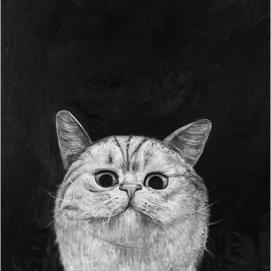 Watching Cat Poster Print by Atelier B Art Studio-VARPDXBEGANI197 Image 1