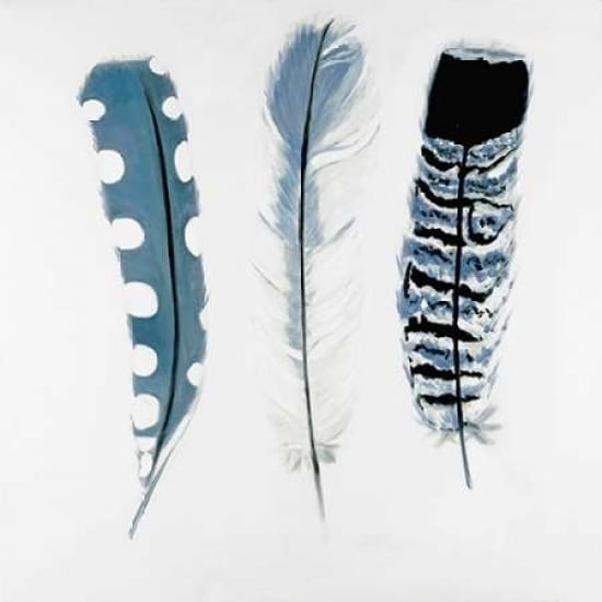 Delicate Blue Feathers Poster Print by Atelier B Art Studio-VARPDXBEGANI243 Image 1