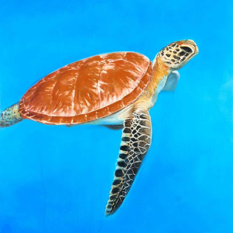 Green Aquatic Turtle Poster Print by Atelier B Art Studio-VARPDXBEGANI275 Image 1