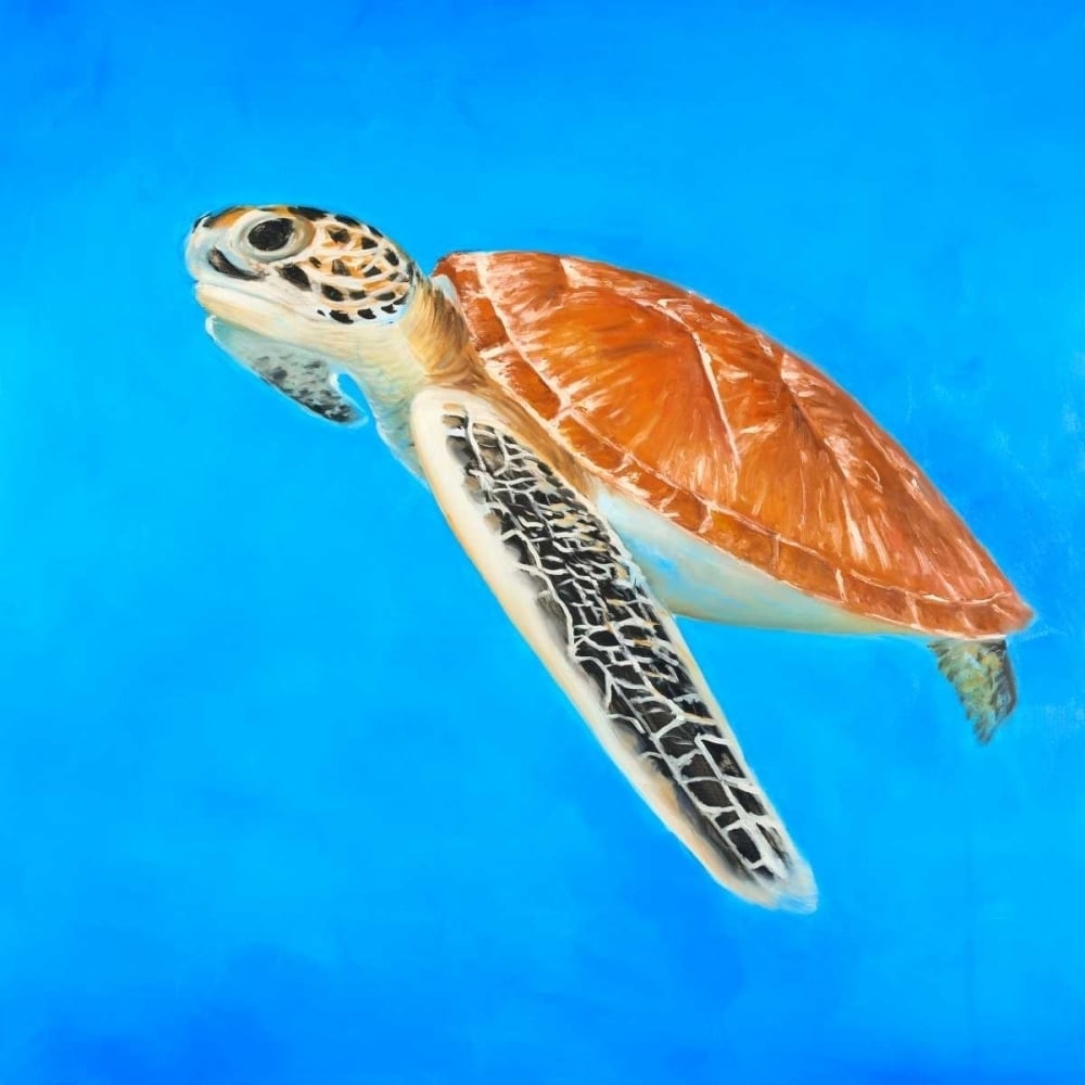 Sea Turtle Poster Print by Atelier B Art Studio-VARPDXBEGANI274 Image 2