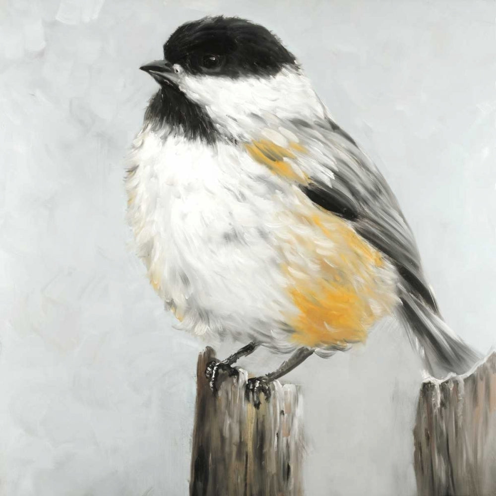 Coal Tit Bird Poster Print by Atelier B Art Studio-VARPDXBEGANI276 Image 1