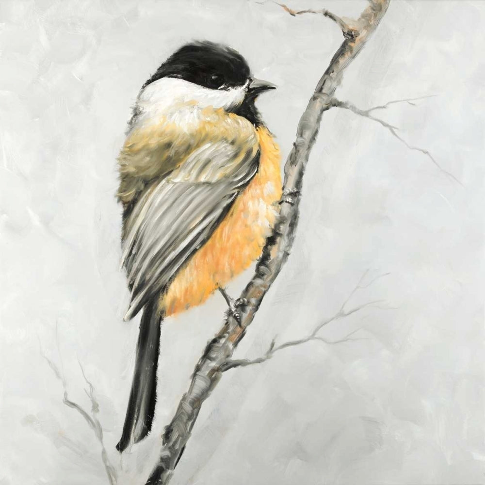 Small Coal Tit Poster Print by Atelier B Art Studio-VARPDXBEGANI277 Image 2