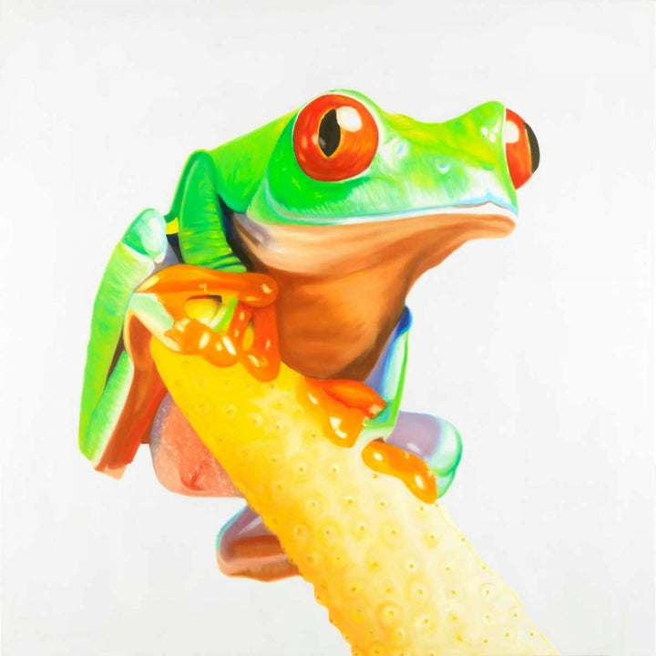 Curious Red-eyed Frog Poster Print by Atelier B Art Studio-VARPDXBEGANI288 Image 1