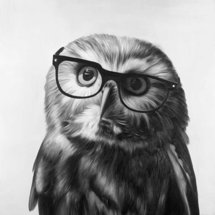 Realistic Northern Saw-whet Owl with Glasses Poster Print by Atelier B Art Studio-VARPDXBEGANI294 Image 2