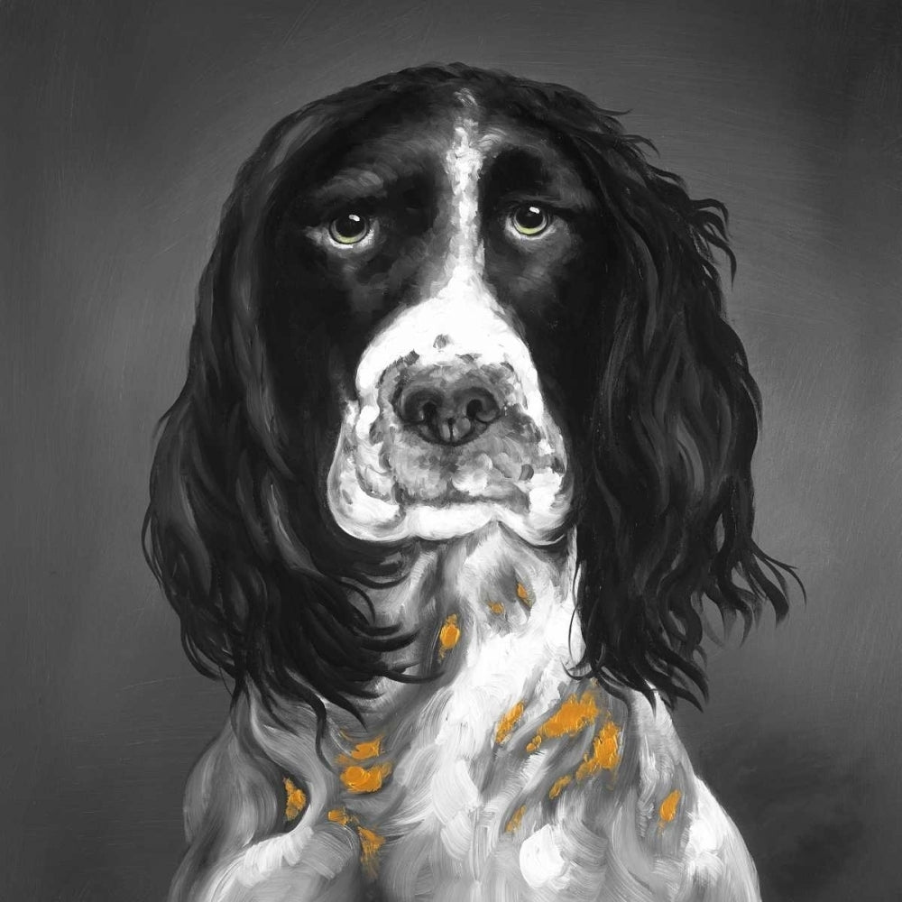 Beautiful English Springer Spaniel Poster Print by Atelier B Art Studio-VARPDXBEGANI308 Image 1