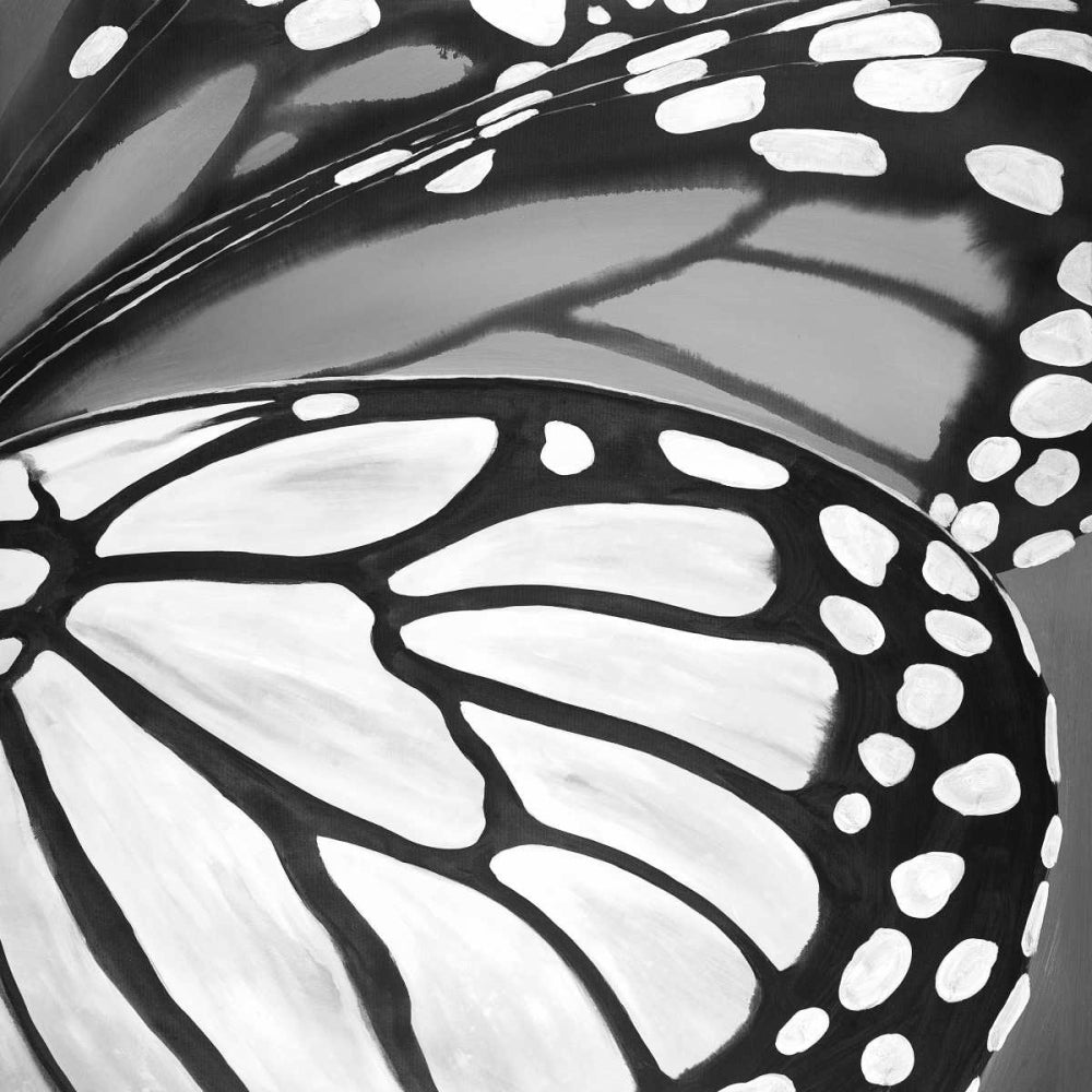 Black and White Monarch Poster Print by Atelier B Art Studio-VARPDXBEGANI327 Image 1