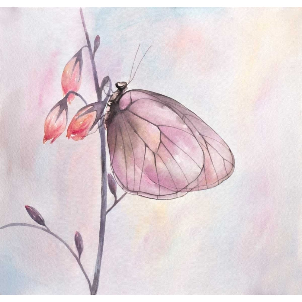 Watercolor Butterfly Poster Print by Atelier B Art Studio-VARPDXBEGANI346 Image 2