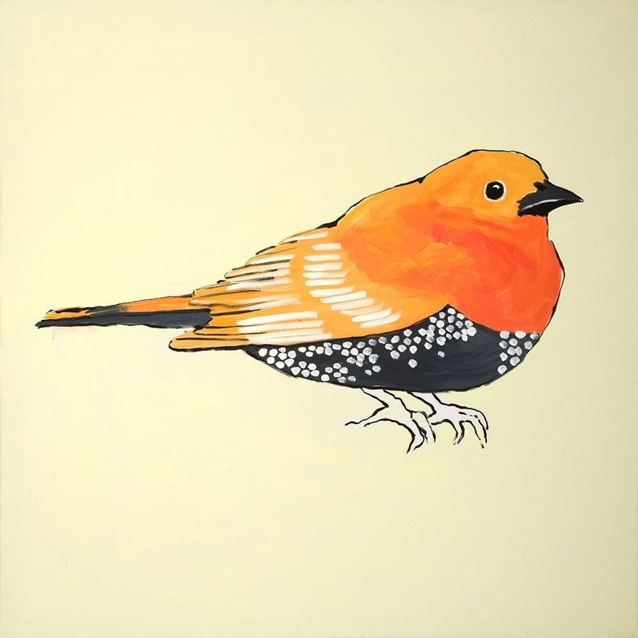 LITTLE ORANGE BIRD ILLUSTRATION Poster Print by Atelier B Art Studio-VARPDXBEGANI361 Image 1