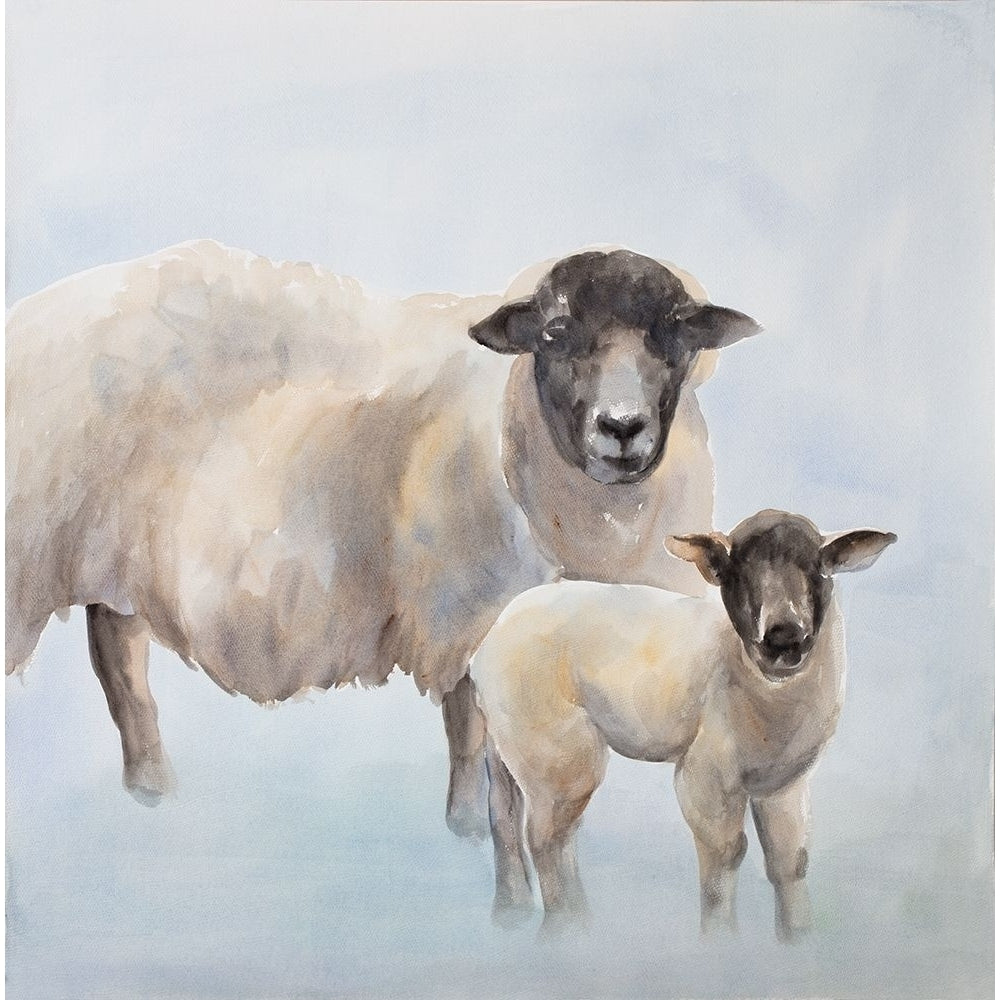 Sheep With A Lamb Poster Print by Atelier B Art Studio-VARPDXBEGANI385 Image 1