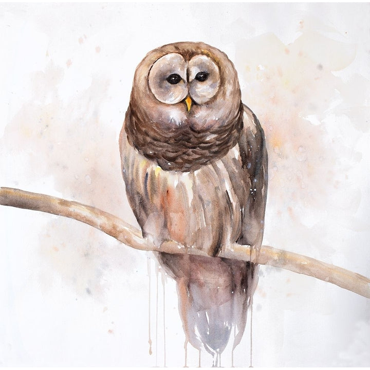 Owl On A Branch Poster Print by Atelier B Art Studio-VARPDXBEGANI387 Image 2