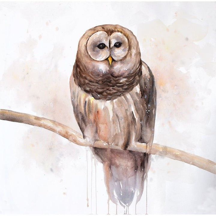 Owl On A Branch Poster Print by Atelier B Art Studio-VARPDXBEGANI387 Image 1