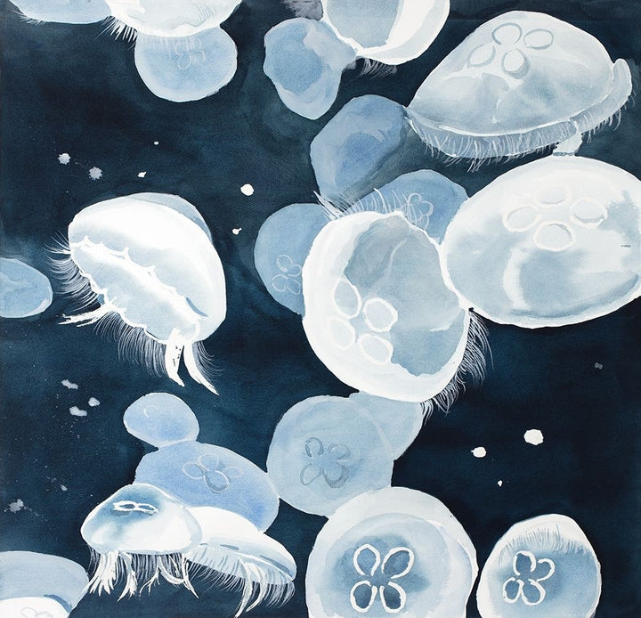 Aurelia Aurita Jellyfishes Poster Print by Atelier B Art Studio-VARPDXBEGANI406 Image 1