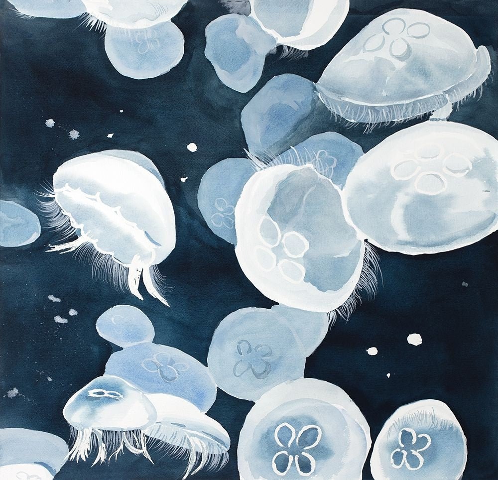 Aurelia Aurita Jellyfishes Poster Print by Atelier B Art Studio-VARPDXBEGANI406 Image 2