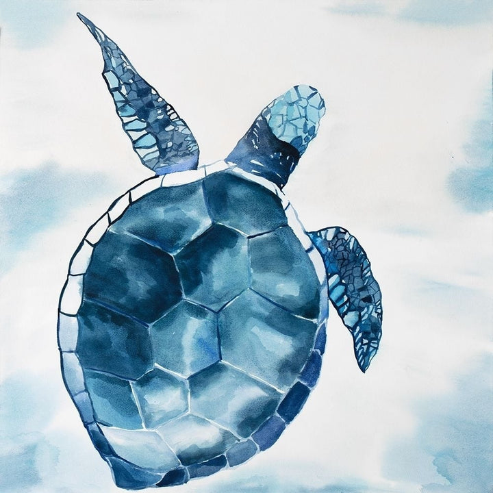 Overhead View Of A Swimming Turtle Poster Print by Atelier B Art Studio-VARPDXBEGANI393 Image 2