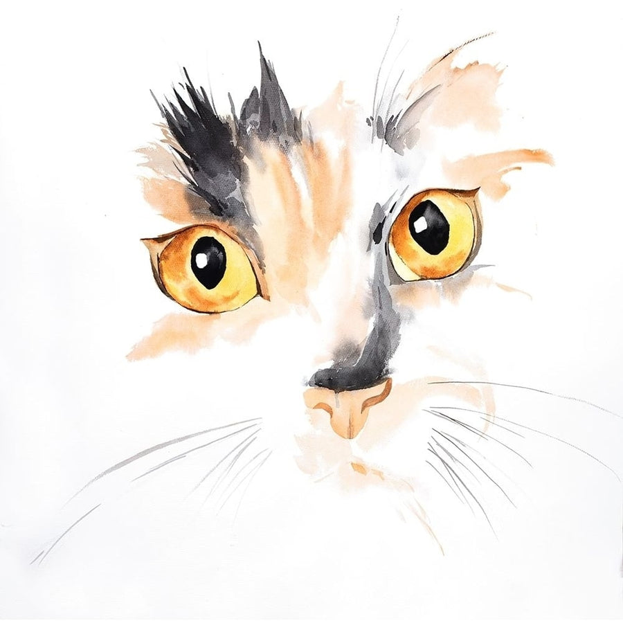 WATERCOLOR CAT FACE CLOSEUP Poster Print by Atelier B Art Studio-VARPDXBEGANI423 Image 1