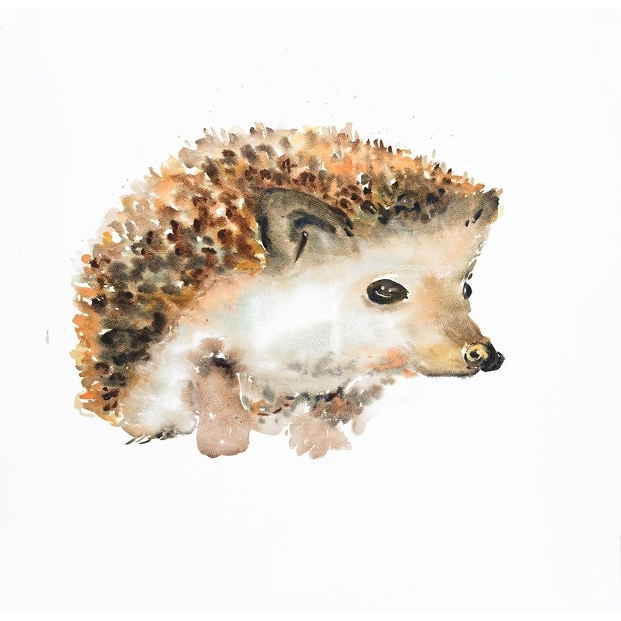 WATERCOLOR HEDGEHOG Poster Print by Atelier B Art Studio-VARPDXBEGANI427 Image 1