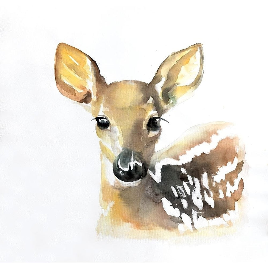 WATERCOLOR FAWN FACE Poster Print by Atelier B Art Studio-VARPDXBEGANI425 Image 1