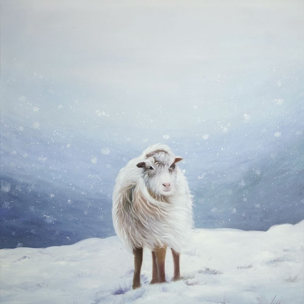 LONG HAIR SHEEP Poster Print by Atelier B Art Studio-VARPDXBEGANI442 Image 1