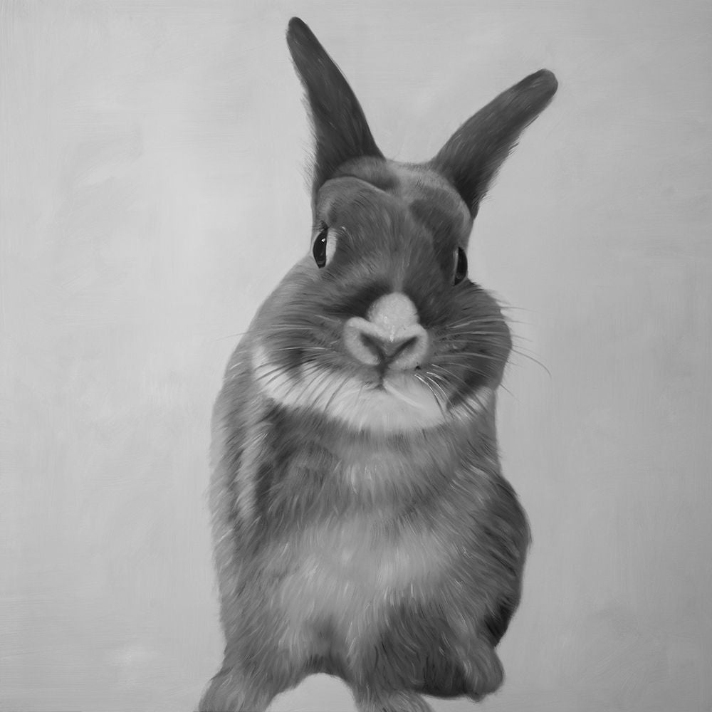 FUNNY GRAY RABBIT Poster Print by Atelier B Art Studio-VARPDXBEGANI465 Image 1