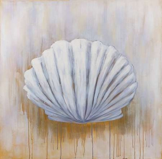 Feston Shell Poster Print by Atelier B Art Studio-VARPDXBEGCOA24 Image 1