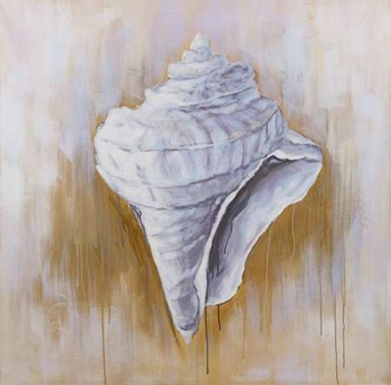 Conical Shell Poster Print by Atelier B Art Studio-VARPDXBEGCOA23 Image 1