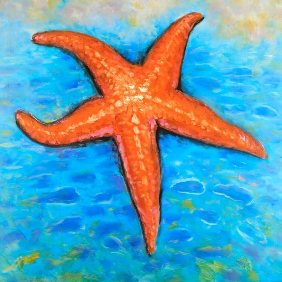 Starfish in the Sea Poster Print by Atelier B Art Studio-VARPDXBEGCOA68 Image 1