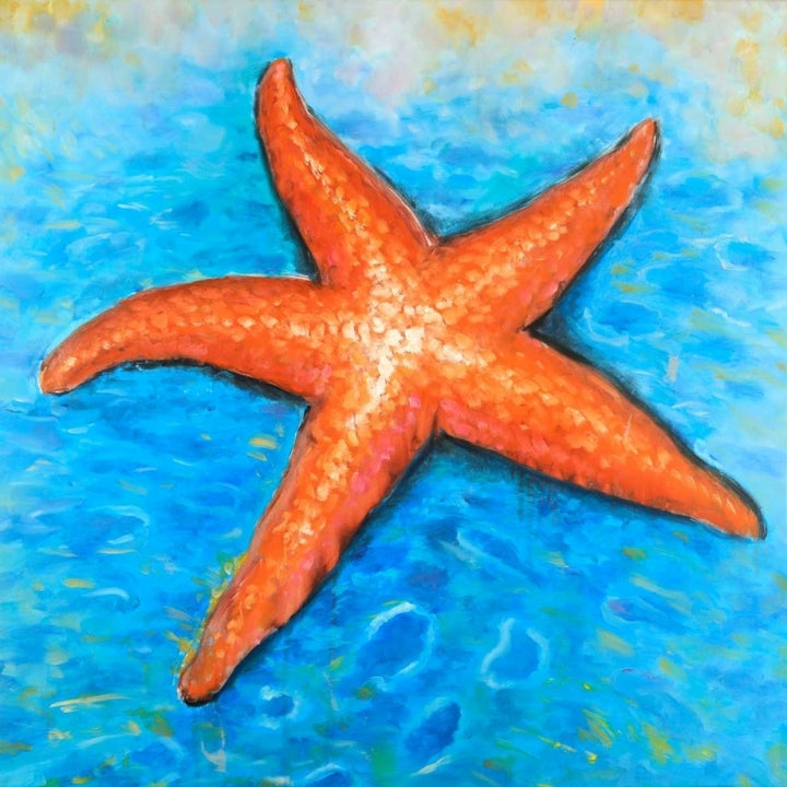 Vivid Starfish Poster Print by Atelier B Art Studio-VARPDXBEGCOA67 Image 2