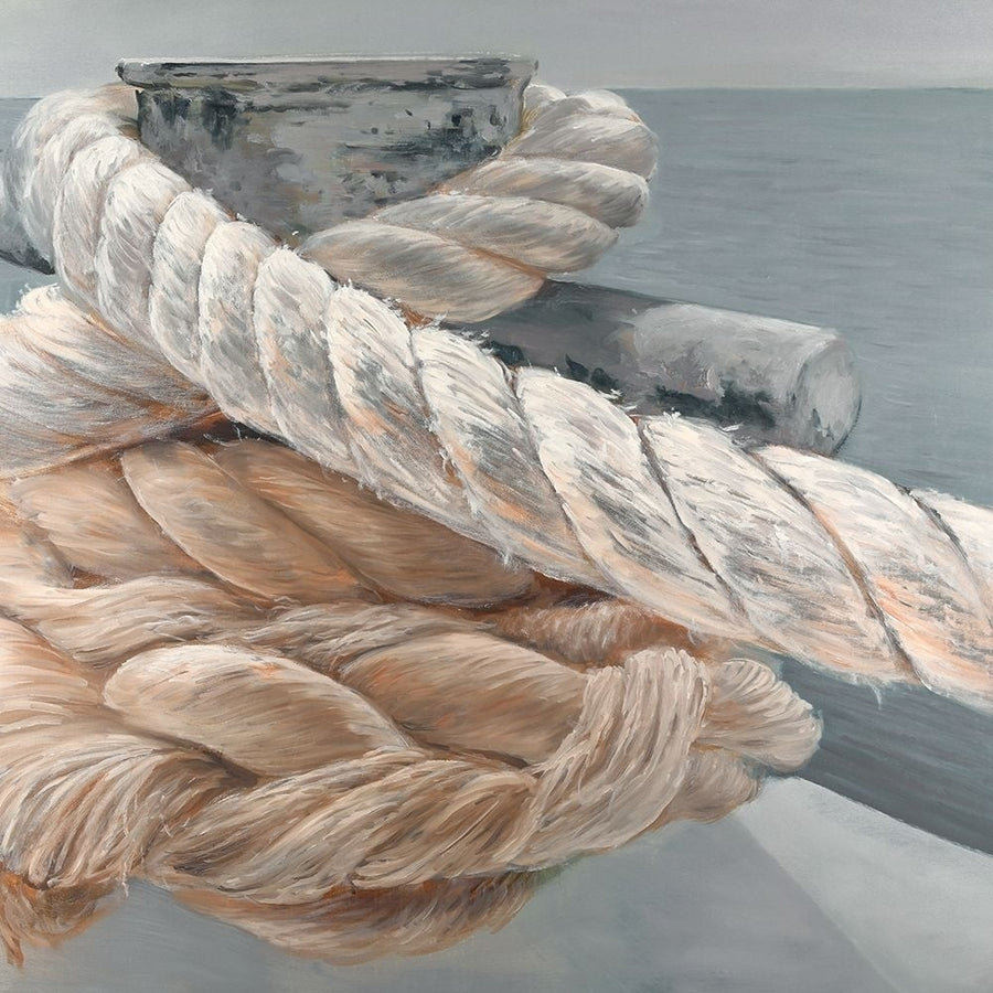 Tie-down ropes closeup Poster Print by Atelier B Art Studio Atelier B Art Studio-VARPDXBEGCOA861 Image 1