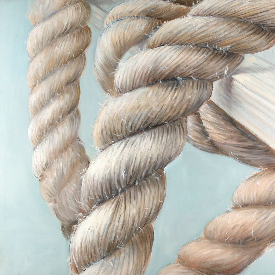 Boat Rope Knot Closeup Poster Print by Atelier B Art Studio-VARPDXBEGCOA85 Image 1