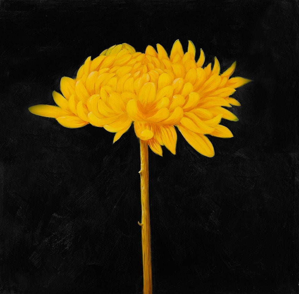 YELLOW FLOWER IN THE DARK Poster Print by Atelier B Art Studio-VARPDXBEGFLO110 Image 1