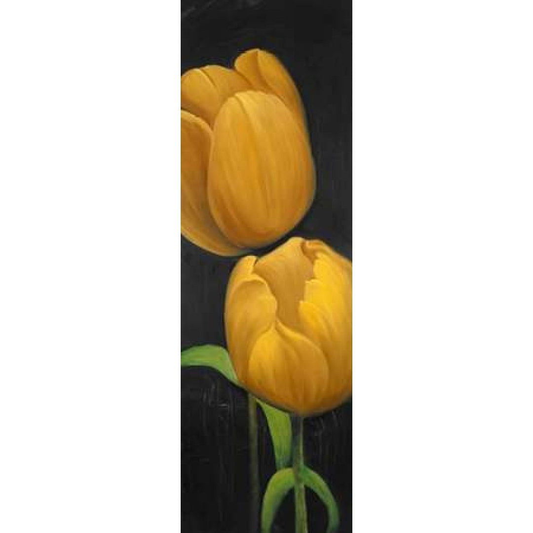 Two Daffodils Flowers Poster Print by Atelier B Art Studio-VARPDXBEGFLO125 Image 1