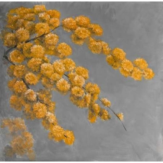 Golden Wattle Plant with Flowers Poster Print by Atelier B Art Studio-VARPDXBEGFLO141 Image 1