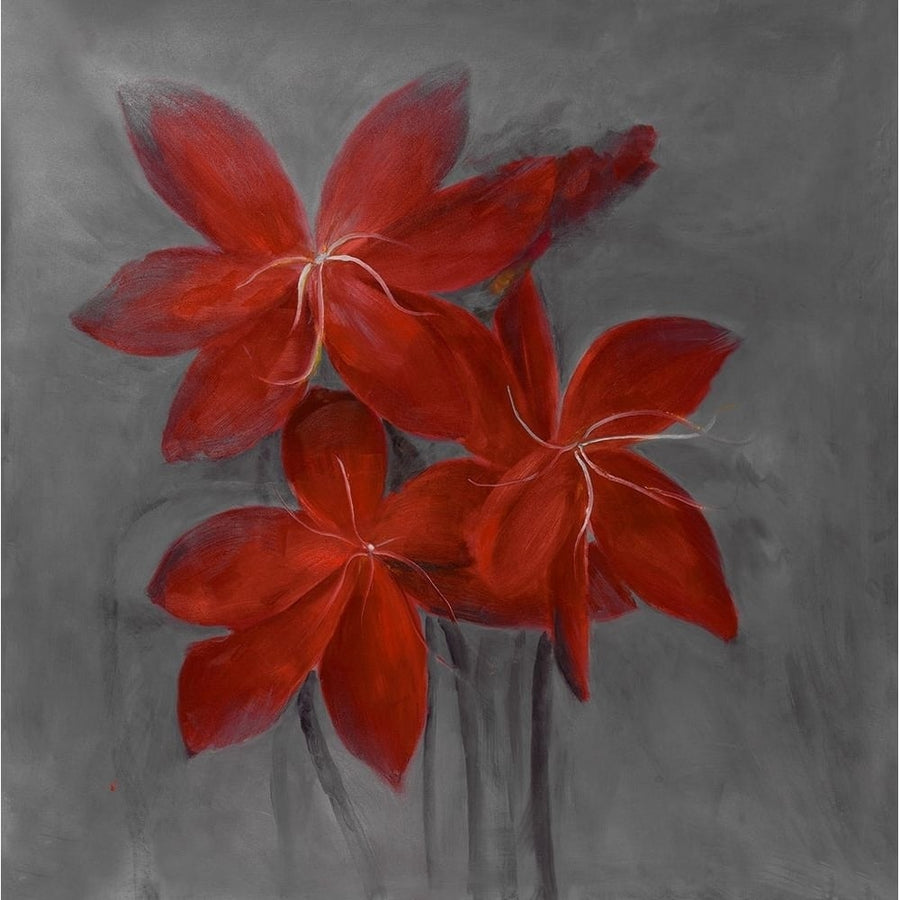 ASIATIC LILY Poster Print by Atelier B Art Studio-VARPDXBEGFLO143 Image 1