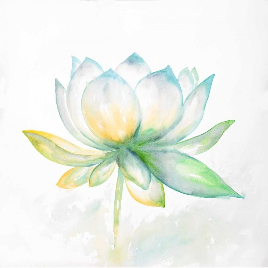 Lotus Flower Poster Print by Atelier B Art Studio-VARPDXBEGFLO183 Image 1